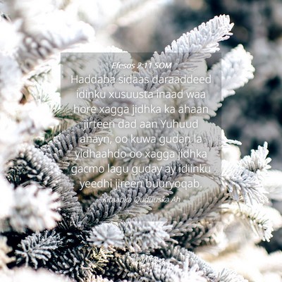 Picture 04 - Efesos 2:11 SOM - Haddaba sidaas daraaddeed idinku xusuusta inaad - Bible Verse Picture