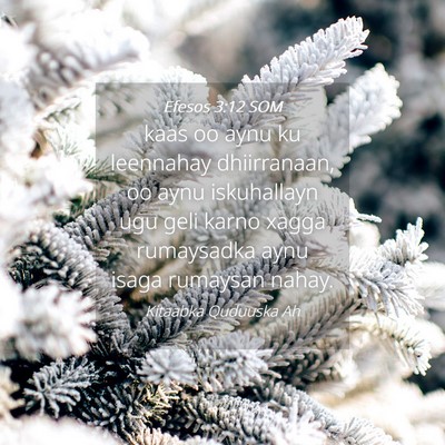 Picture 04 - Efesos 3:12 SOM - kaas oo aynu ku leennahay dhiirranaan, oo aynu - Bible Verse Picture