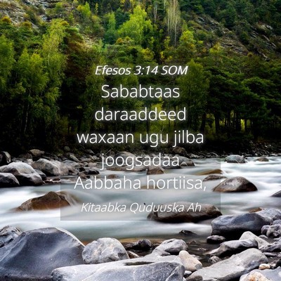 Picture 04 - Efesos 3:14 SOM - Sababtaas daraaddeed waxaan ugu jilba joogsadaa - Bible Verse Picture