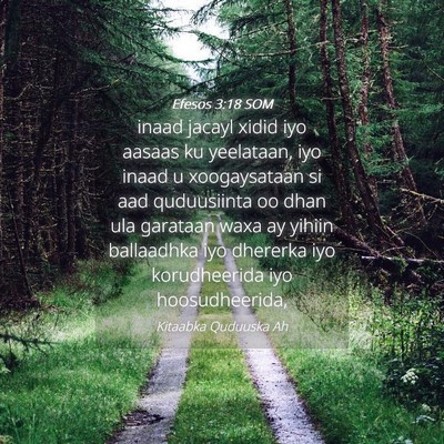 Picture 04 - Efesos 3:18 SOM - inaad jacayl xidid iyo aasaas ku yeelataan, iyo - Bible Verse Picture