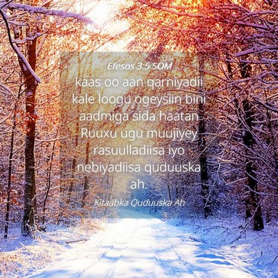 Picture 04 - Efesos 3:5 SOM - kaas oo aan qarniyadii kale loogu ogeysiin bini - Bible Verse Picture