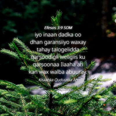 Picture 04 - Efesos 3:9 SOM - iyo inaan dadka oo dhan garansiiyo waxay tahay - Bible Verse Picture