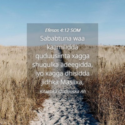 Picture 04 - Efesos 4:12 SOM - Sababtuna waa kaamilidda quduusiinta xagga - Bible Verse Picture