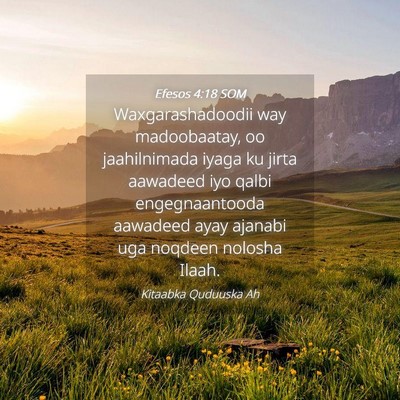 Picture 04 - Efesos 4:18 SOM - Waxgarashadoodii way madoobaatay, oo jaahilnimada - Bible Verse Picture