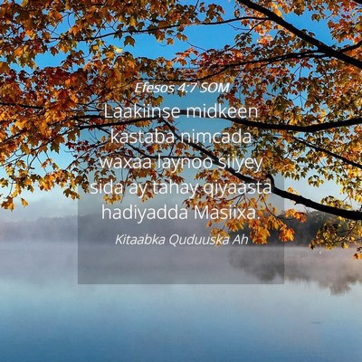 Picture 04 - Efesos 4:7 SOM - Laakiinse midkeen kastaba nimcada waxaa laynoo - Bible Verse Picture