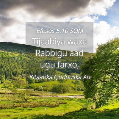 Picture 04 - Efesos 5:10 SOM - Tijaabiya waxa Rabbigu aad ugu - Bible Verse Picture