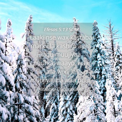 Picture 04 - Efesos 5:13 SOM - Laakiinse wax kastaba markii la kashifo ayaa lagu - Bible Verse Picture