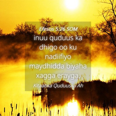 Picture 04 - Efesos 5:26 SOM - inuu quduus ka dhigo oo ku nadiifiyo maydhidda - Bible Verse Picture