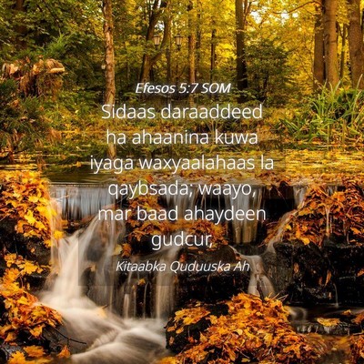Picture 04 - Efesos 5:7 SOM - Sidaas daraaddeed ha ahaanina kuwa iyaga - Bible Verse Picture