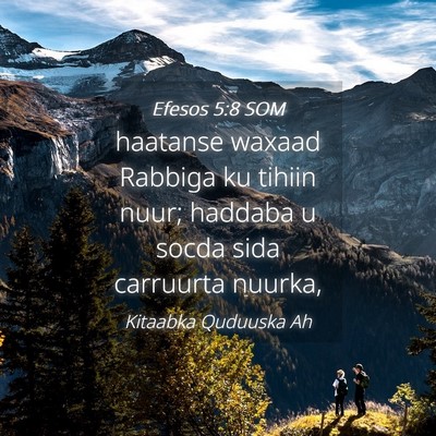 Picture 04 - Efesos 5:8 SOM - haatanse waxaad Rabbiga ku tihiin nuur; haddaba u - Bible Verse Picture