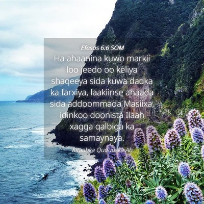 Picture 04 - Efesos 6:6 SOM - Ha ahaanina kuwo markii loo jeedo oo keliya - Bible Verse Picture