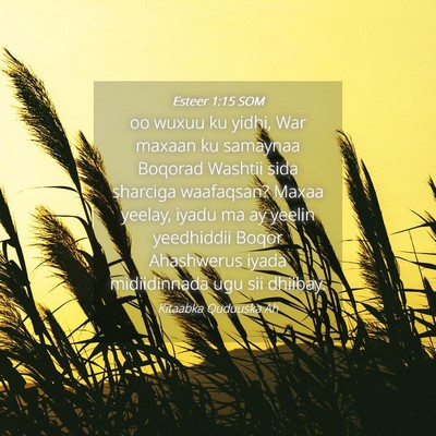 Picture 04 - Esteer 1:15 SOM - oo wuxuu ku yidhi, War maxaan ku samaynaa Boqorad - Bible Verse Picture