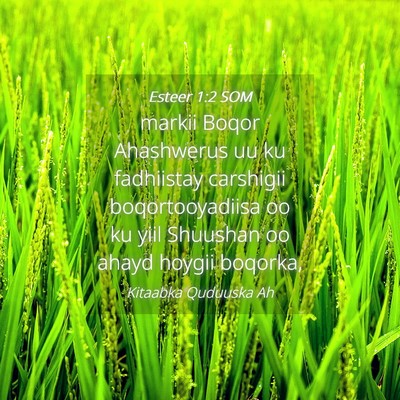 Picture 04 - Esteer 1:2 SOM - markii Boqor Ahashwerus uu ku fadhiistay - Bible Verse Picture