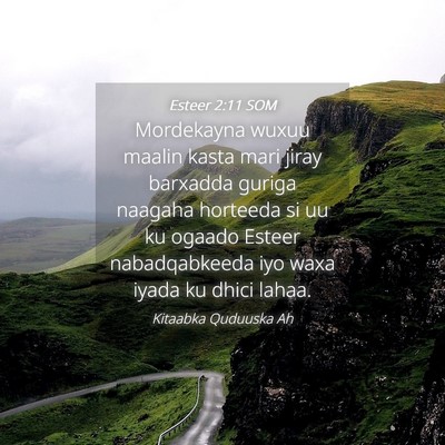 Picture 04 - Esteer 2:11 SOM - Mordekayna wuxuu maalin kasta mari jiray barxadda - Bible Verse Picture