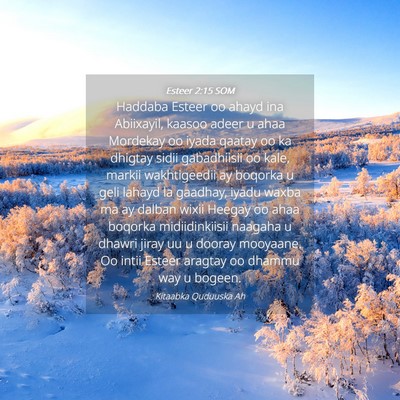Picture 04 - Esteer 2:15 SOM - Haddaba Esteer oo ahayd ina Abiixayil, kaasoo - Bible Verse Picture