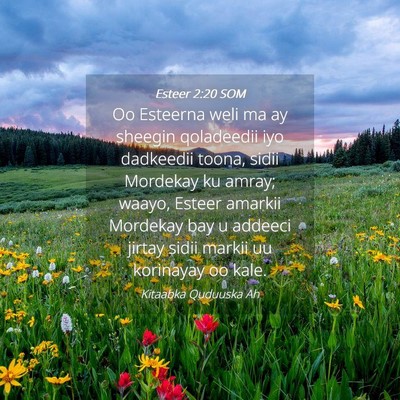 Picture 04 - Esteer 2:20 SOM - Oo Esteerna weli ma ay sheegin qoladeedii iyo - Bible Verse Picture