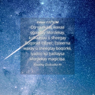Picture 04 - Esteer 2:22 SOM - Oo xaalkaas waxaa ogaaday Mordekay, kolkaasuu u - Bible Verse Picture
