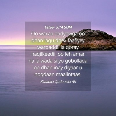 Picture 04 - Esteer 3:14 SOM - Oo waxaa dadyowga oo dhan lagu dhex faafiyey - Bible Verse Picture