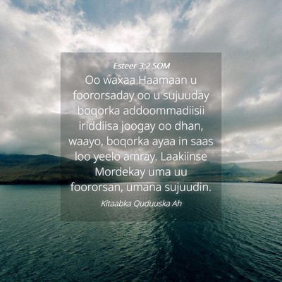 Picture 04 - Esteer 3:2 SOM - Oo waxaa Haamaan u foororsaday oo u sujuuday - Bible Verse Picture