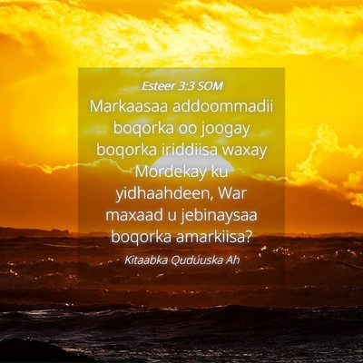 Picture 04 - Esteer 3:3 SOM - Markaasaa addoommadii boqorka oo joogay boqorka - Bible Verse Picture