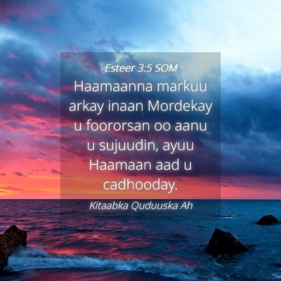 Picture 04 - Esteer 3:5 SOM - Haamaanna markuu arkay inaan Mordekay u foororsan - Bible Verse Picture