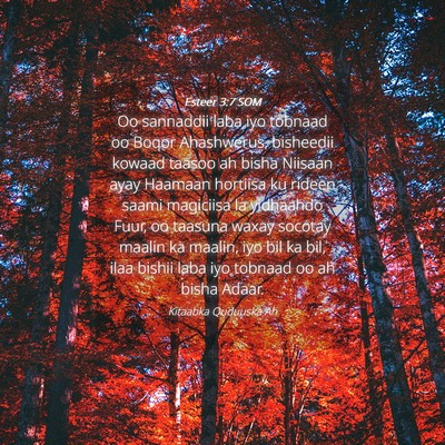 Picture 04 - Esteer 3:7 SOM - Oo sannaddii laba iyo tobnaad oo Boqor - Bible Verse Picture