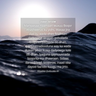 Picture 04 - Esteer 3:8 SOM - Markaasaa Haamaan wuxuu Boqor Ahashwerus ku - Bible Verse Picture