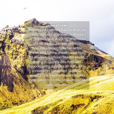 Picture 04 - Esteer 4:11 SOM - Boqorka addoommadiisa oo dhan iyo dadka boqorka - Bible Verse Picture