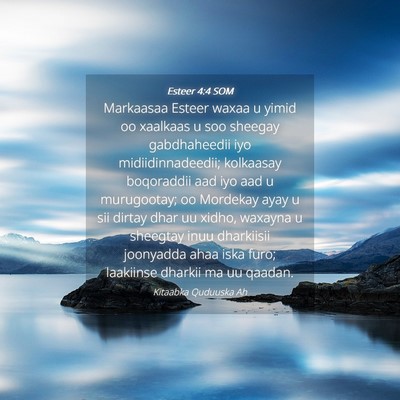 Picture 04 - Esteer 4:4 SOM - Markaasaa Esteer waxaa u yimid oo xaalkaas u soo - Bible Verse Picture