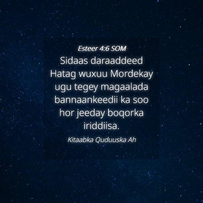 Picture 04 - Esteer 4:6 SOM - Sidaas daraaddeed Hatag wuxuu Mordekay ugu tegey - Bible Verse Picture