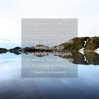 Picture 04 - Esteer 6:1 SOM - Habeenkaasna boqorkii wuu seexan kari waayay, - Bible Verse Picture
