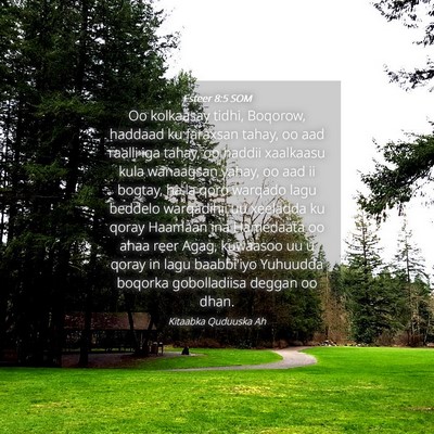 Picture 04 - Esteer 8:5 SOM - Oo kolkaasay tidhi, Boqorow, haddaad ku faraxsan - Bible Verse Picture