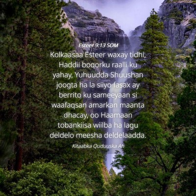 Picture 04 - Esteer 9:13 SOM - Kolkaasaa Esteer waxay tidhi, Haddii boqorku - Bible Verse Picture