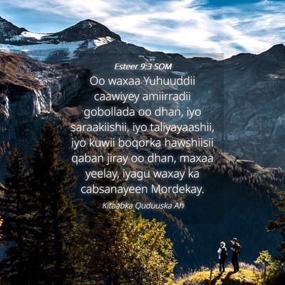 Picture 04 - Esteer 9:3 SOM - Oo waxaa Yuhuuddii caawiyey amiirradii gobollada - Bible Verse Picture