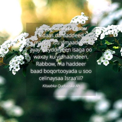 Picture 04 - Falimaha Rasuullada 1:6 SOM - Sidaas daraaddeed markay isu yimaadeen, ayay - Bible Verse Picture