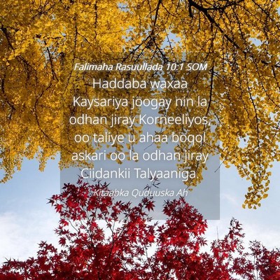 Picture 04 - Falimaha Rasuullada 10:1 SOM - Haddaba waxaa Kaysariya joogay nin la odhan jiray - Bible Verse Picture