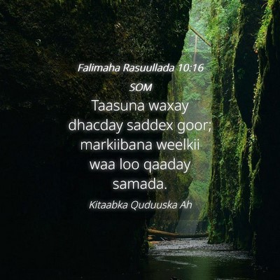 Picture 04 - Falimaha Rasuullada 10:16 SOM - Taasuna waxay dhacday saddex goor; markiibana - Bible Verse Picture