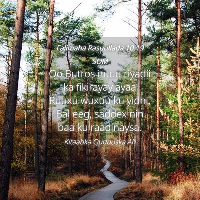 Picture 04 - Falimaha Rasuullada 10:19 SOM - Oo Butros intuu riyadii ka fikirayay ayaa Ruuxu - Bible Verse Picture