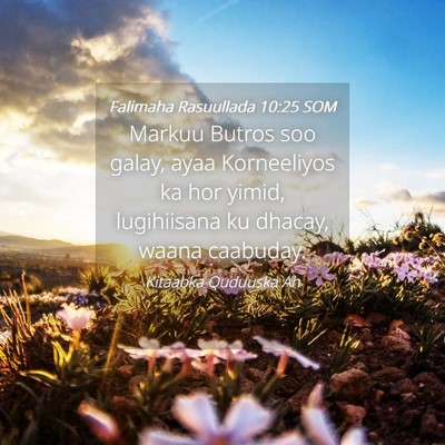 Picture 04 - Falimaha Rasuullada 10:25 SOM - Markuu Butros soo galay, ayaa Korneeliyos ka hor - Bible Verse Picture