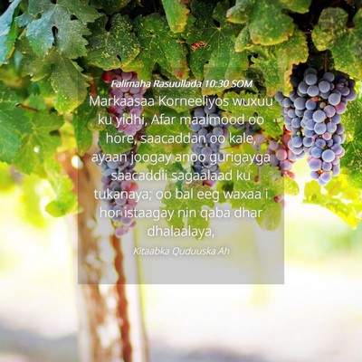 Picture 04 - Falimaha Rasuullada 10:30 SOM - Markaasaa Korneeliyos wuxuu ku yidhi, Afar - Bible Verse Picture