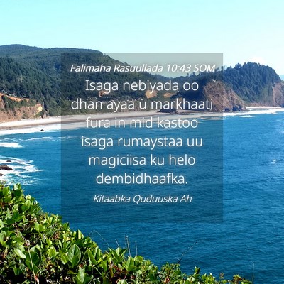 Picture 04 - Falimaha Rasuullada 10:43 SOM - Isaga nebiyada oo dhan ayaa u markhaati fura in - Bible Verse Picture