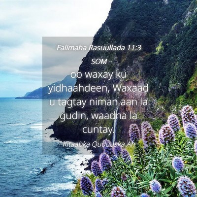 Picture 04 - Falimaha Rasuullada 11:3 SOM - oo waxay ku yidhaahdeen, Waxaad u tagtay niman - Bible Verse Picture