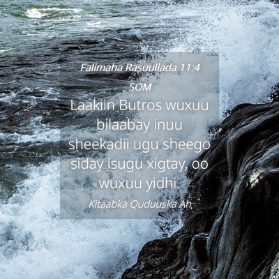 Picture 04 - Falimaha Rasuullada 11:4 SOM - Laakiin Butros wuxuu bilaabay inuu sheekadii ugu - Bible Verse Picture