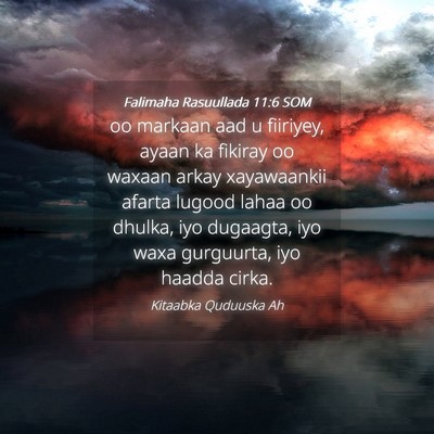 Picture 04 - Falimaha Rasuullada 11:6 SOM - oo markaan aad u fiiriyey, ayaan ka fikiray oo - Bible Verse Picture