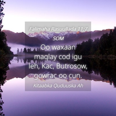Picture 04 - Falimaha Rasuullada 11:7 SOM - Oo waxaan maqlay cod igu leh, Kac, Butrosow, - Bible Verse Picture