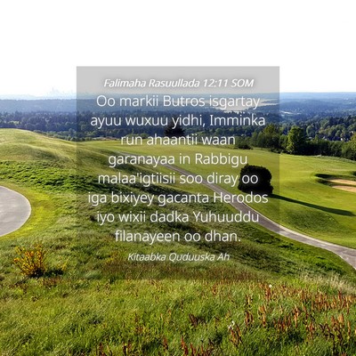Picture 04 - Falimaha Rasuullada 12:11 SOM - Oo markii Butros isgartay ayuu wuxuu yidhi, - Bible Verse Picture