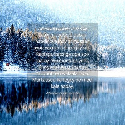 Picture 04 - Falimaha Rasuullada 12:17 SOM - Laakiin isagoo u gacan haadinaya inay aamusaan - Bible Verse Picture