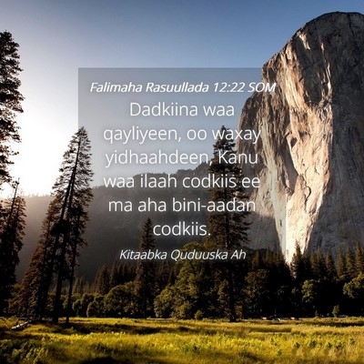 Picture 04 - Falimaha Rasuullada 12:22 SOM - Dadkiina waa qayliyeen, oo waxay yidhaahdeen, - Bible Verse Picture