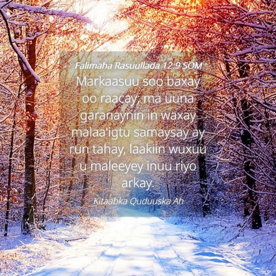 Picture 04 - Falimaha Rasuullada 12:9 SOM - Markaasuu soo baxay oo raacay; ma uuna garanaynin - Bible Verse Picture