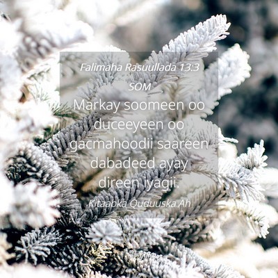 Picture 04 - Falimaha Rasuullada 13:3 SOM - Markay soomeen oo duceeyeen oo gacmahoodii - Bible Verse Picture